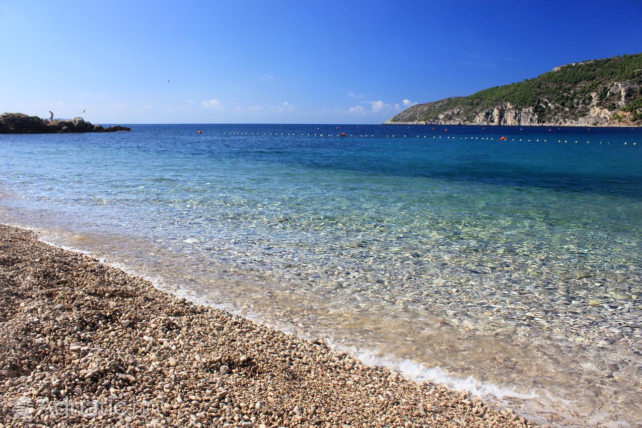 Spiagge nelle vicinanze - Appartamenti con Internet Comisa - Komiža, Lissa - Vis