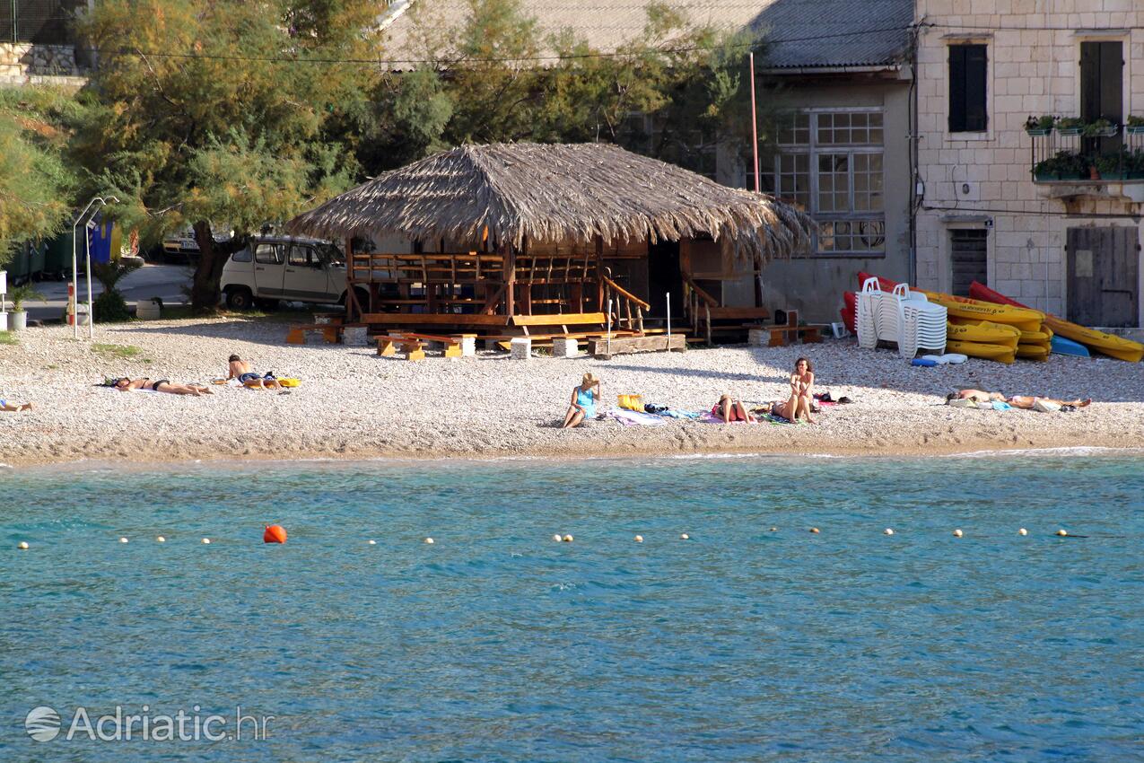 Spiagge nelle vicinanze - Appartamenti con Internet Comisa - Komiža, Lissa - Vis