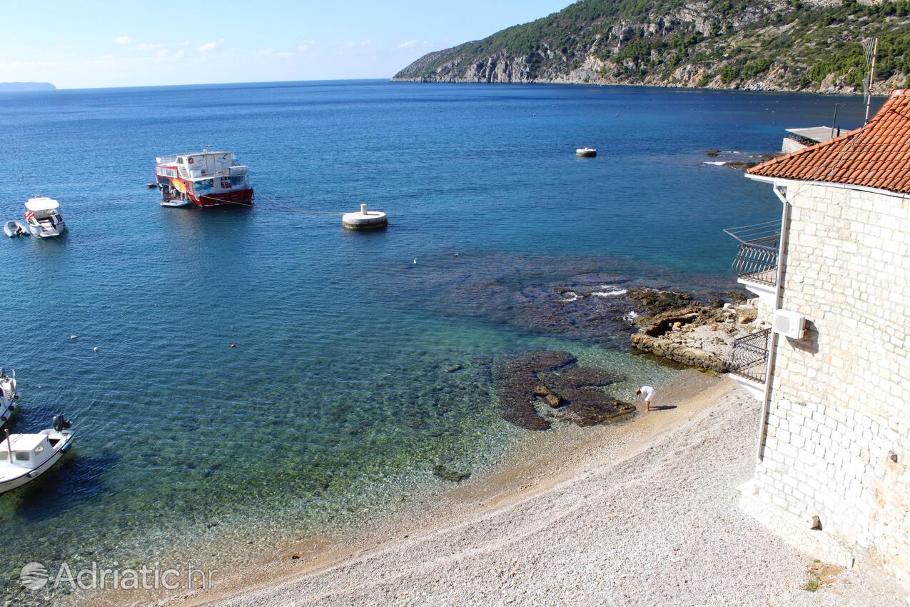 Spiagge nelle vicinanze - Appartamenti con Internet Comisa - Komiža, Lissa - Vis