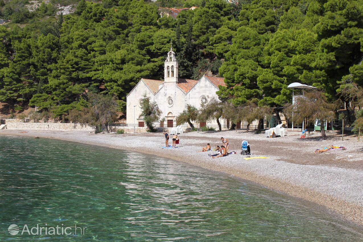 Spiagge nelle vicinanze - Appartamenti con Internet Comisa - Komiža, Lissa - Vis