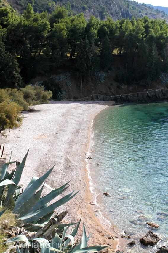 Spiagge nelle vicinanze - Appartamenti con Internet Comisa - Komiža, Lissa - Vis