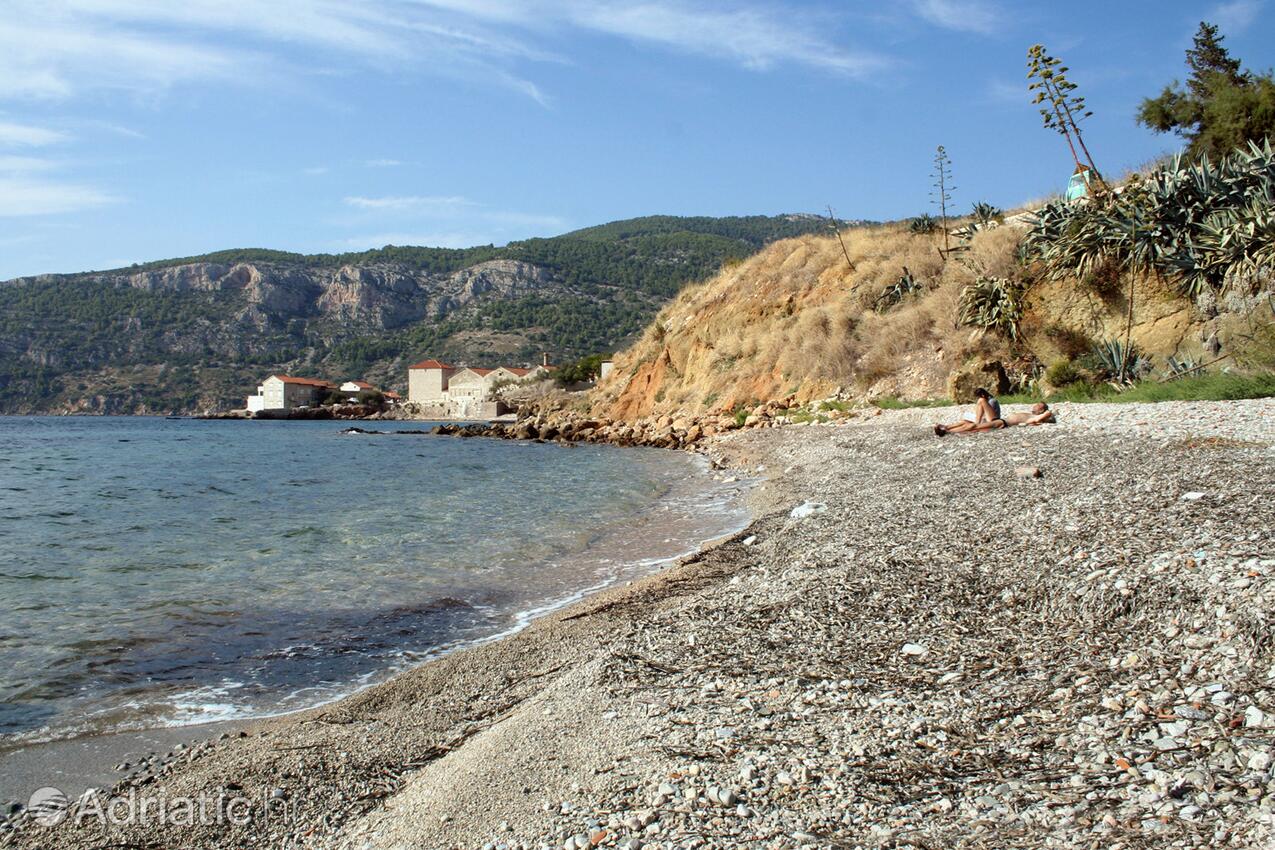 Spiagge nelle vicinanze - Appartamenti con Internet Comisa - Komiža, Lissa - Vis