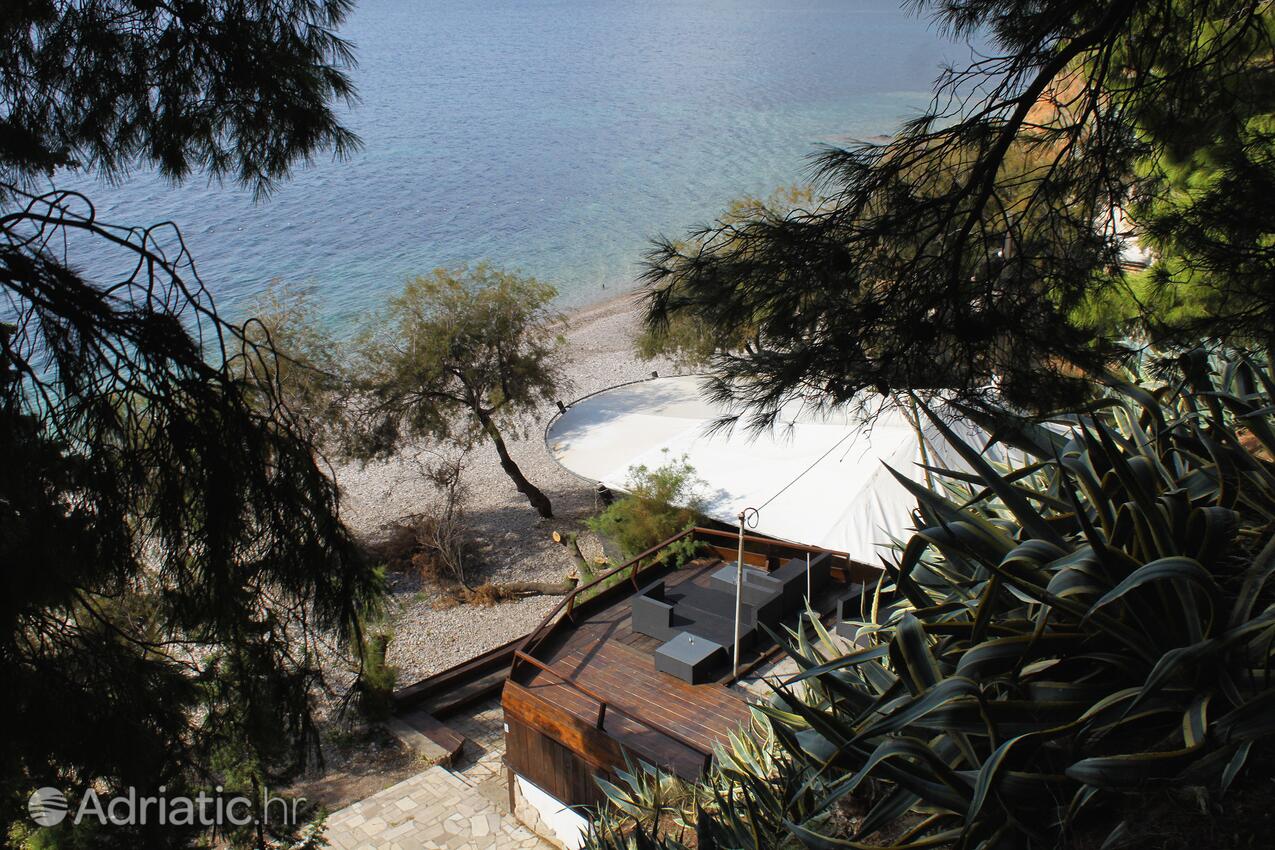 Spiagge nelle vicinanze - Appartamenti con Internet Comisa - Komiža, Lissa - Vis