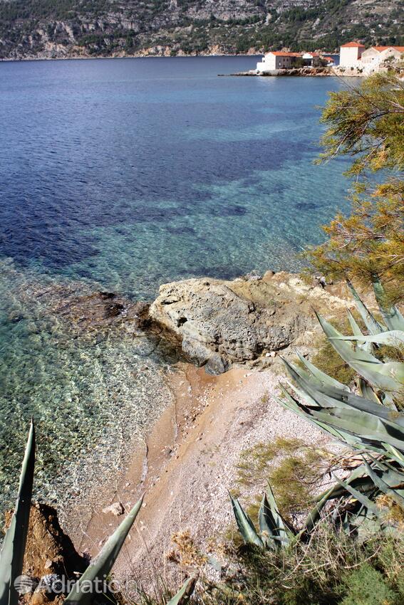 Spiagge nelle vicinanze - Appartamenti con Internet Comisa - Komiža, Lissa - Vis