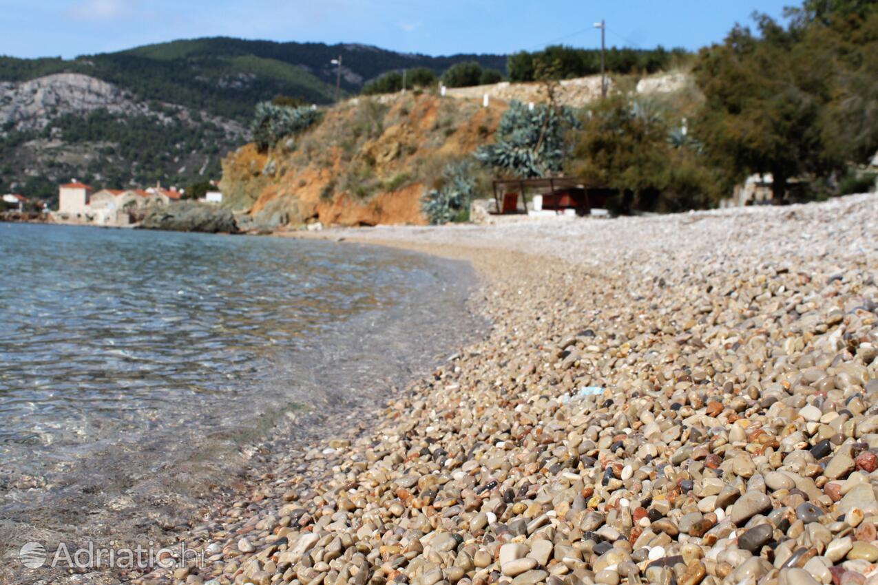 Spiagge nelle vicinanze - Appartamenti con Internet Comisa - Komiža, Lissa - Vis