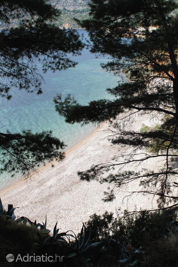 Spiagge nelle vicinanze - Appartamenti con Internet Comisa - Komiža, Lissa - Vis