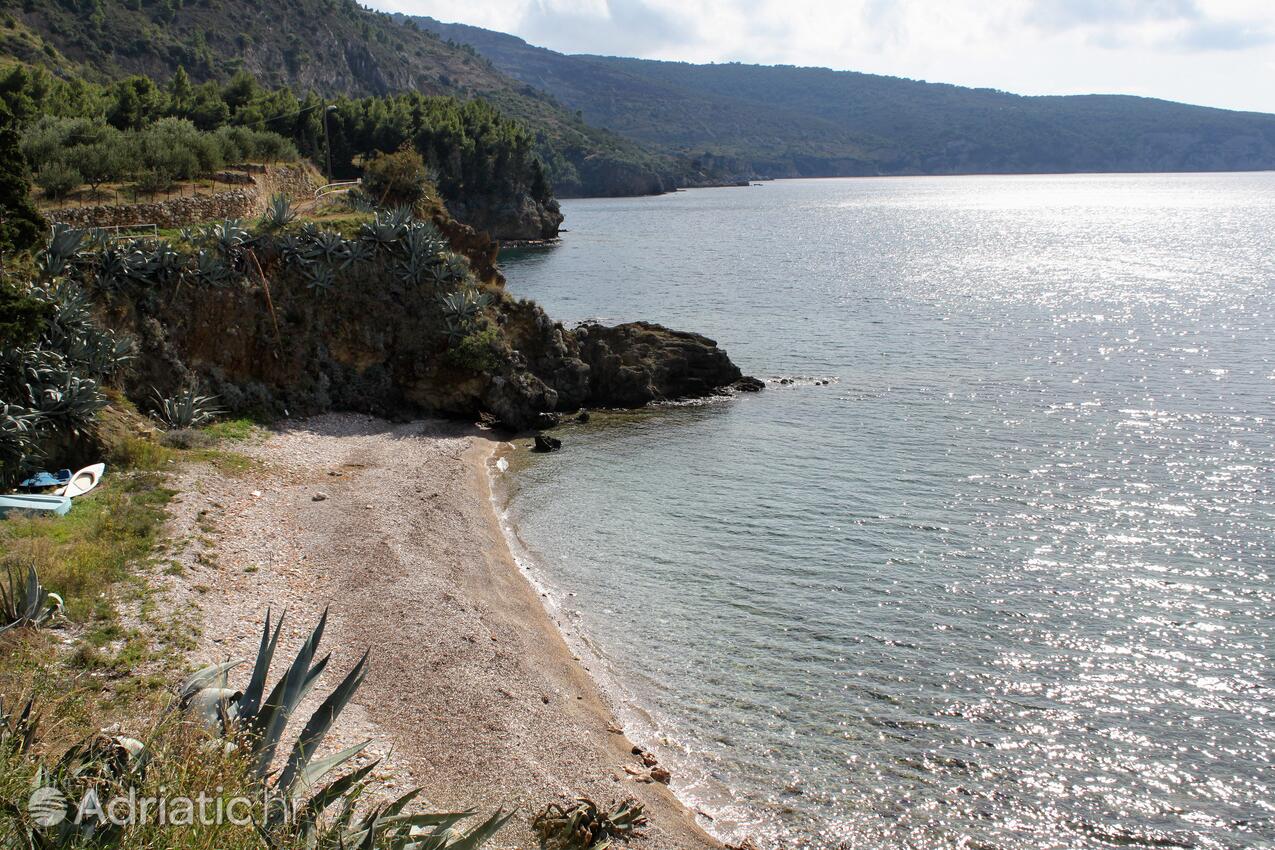 Spiagge nelle vicinanze - Appartamenti con Internet Comisa - Komiža, Lissa - Vis