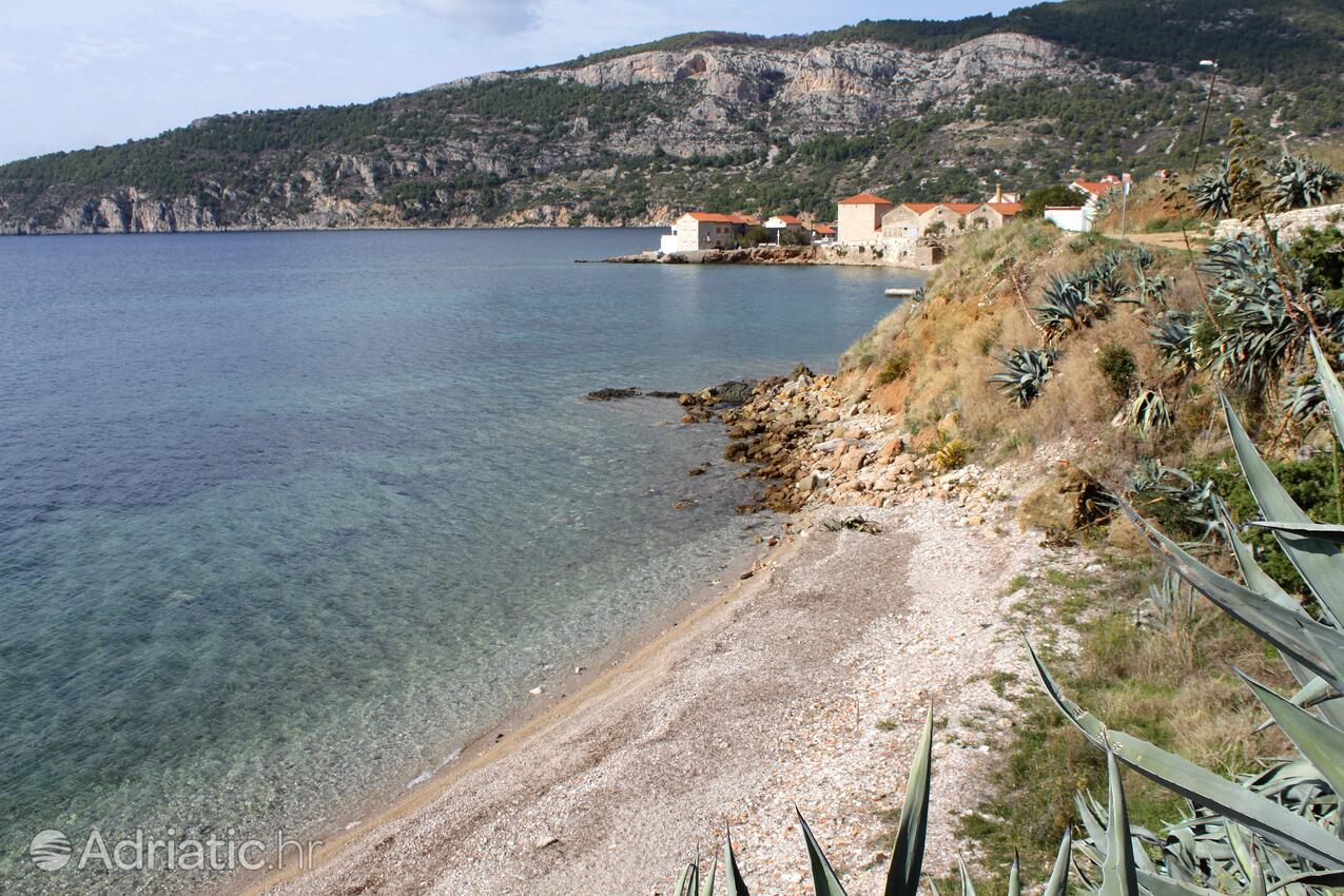 Spiagge nelle vicinanze - Appartamenti con Internet Comisa - Komiža, Lissa - Vis