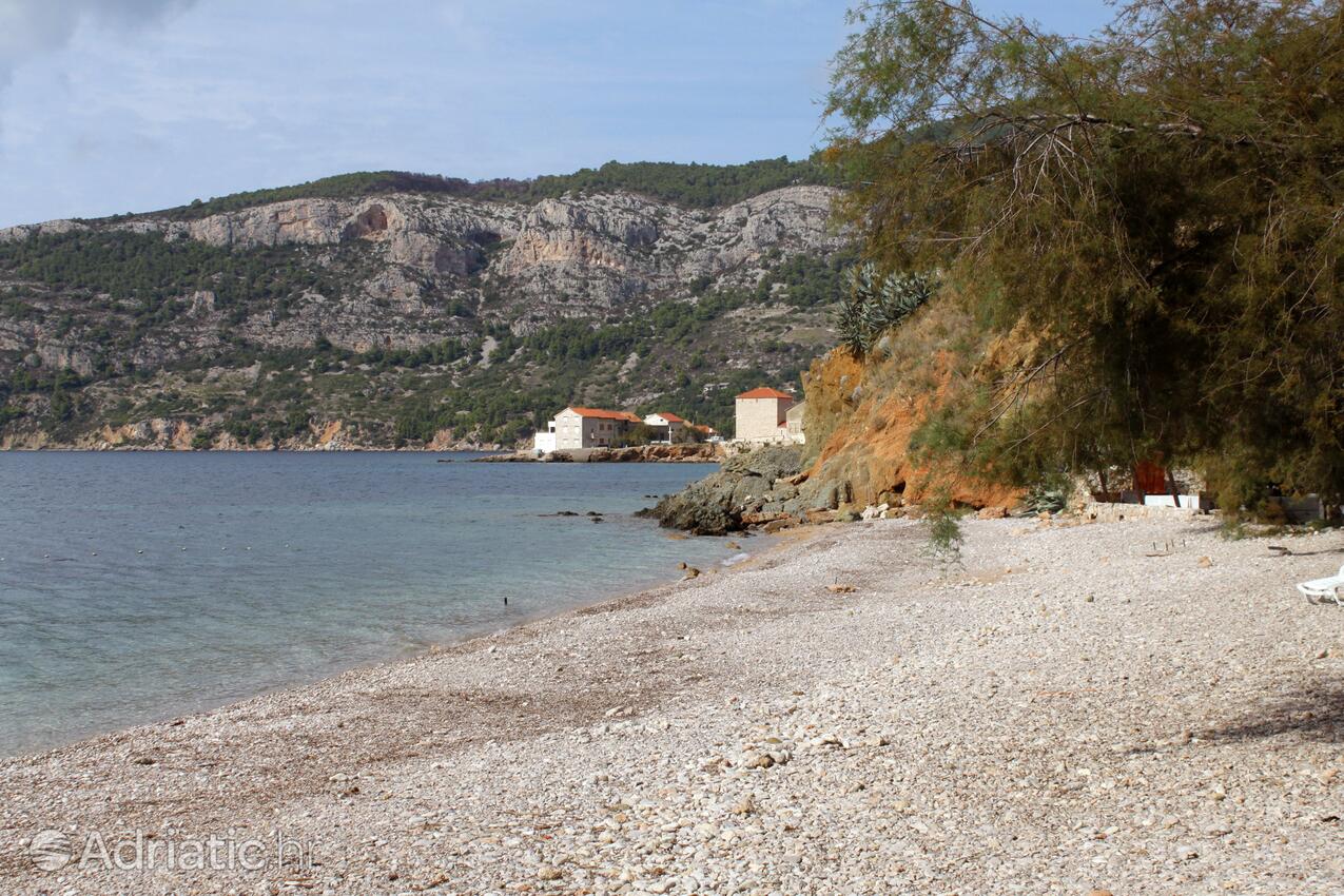 Spiagge nelle vicinanze - Appartamenti con Internet Comisa - Komiža, Lissa - Vis