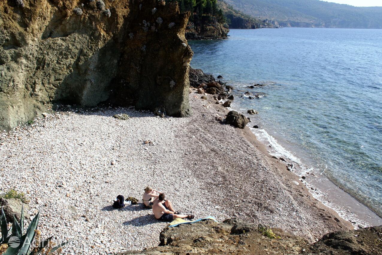 Spiagge nelle vicinanze - Appartamenti con Internet Comisa - Komiža, Lissa - Vis