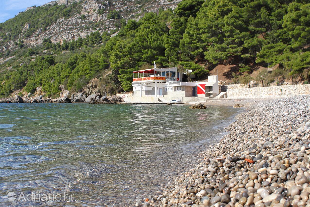 Spiagge nelle vicinanze - Appartamenti con Internet Comisa - Komiža, Lissa - Vis