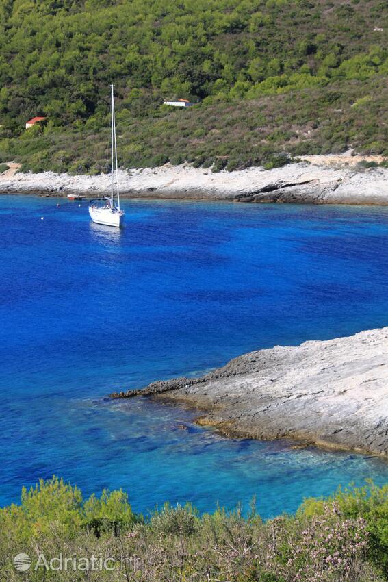 Spiagge nelle vicinanze - Appartamenti con parcheggio Rukavac, Lissa - Vis