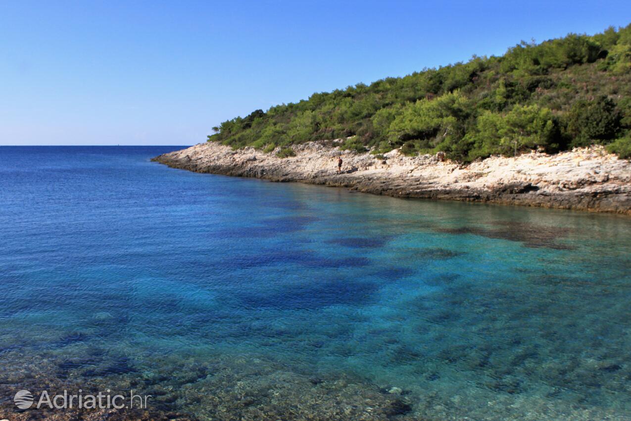 Spiagge nelle vicinanze - Appartamenti con parcheggio Rukavac, Lissa - Vis
