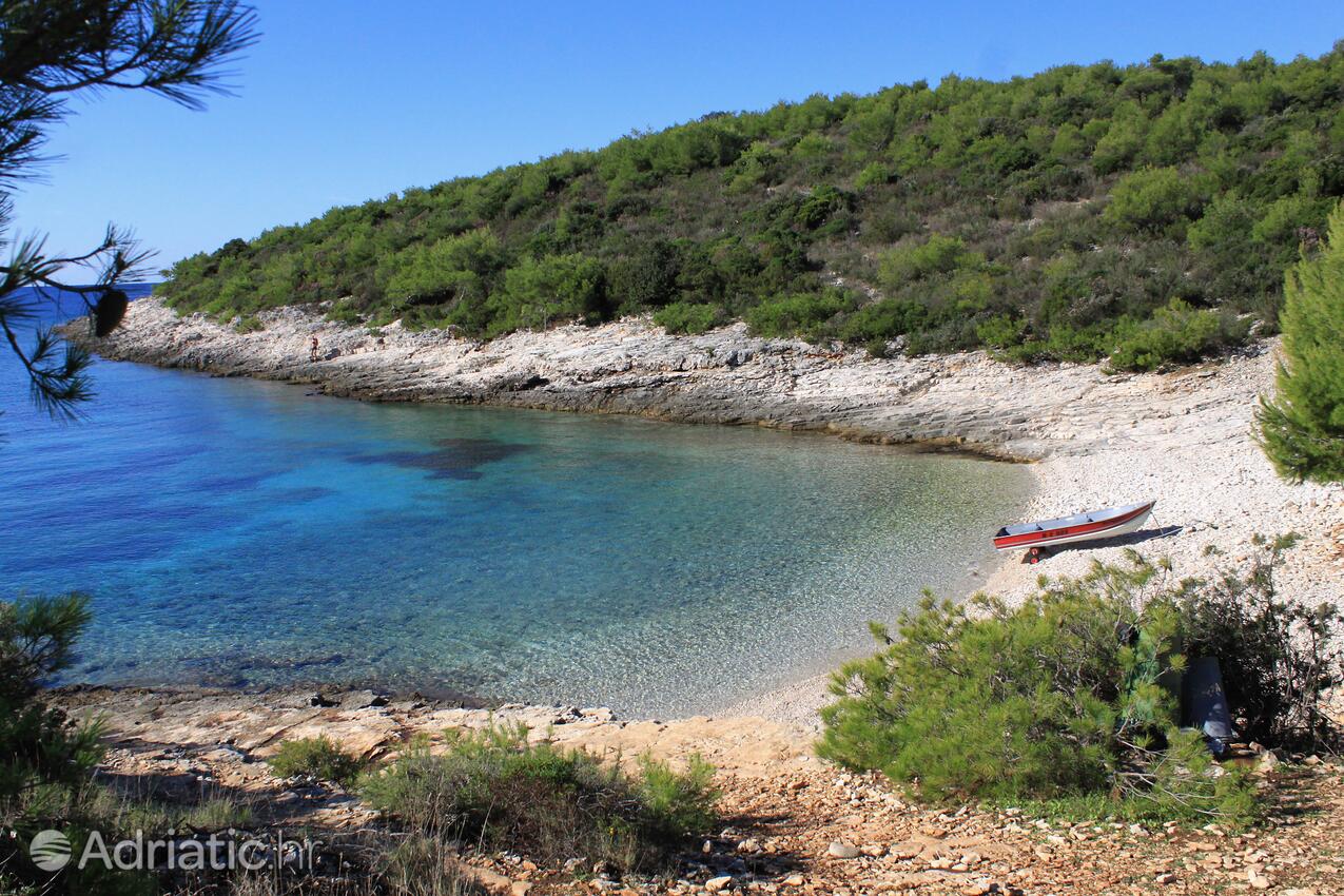 Spiagge nelle vicinanze - Appartamenti con parcheggio Rukavac, Lissa - Vis