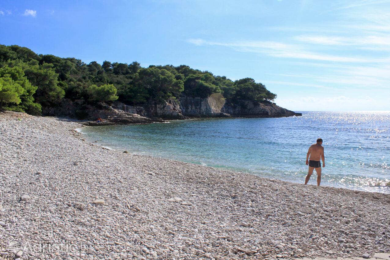 Spiagge nelle vicinanze - Appartamenti con parcheggio Rukavac, Lissa - Vis