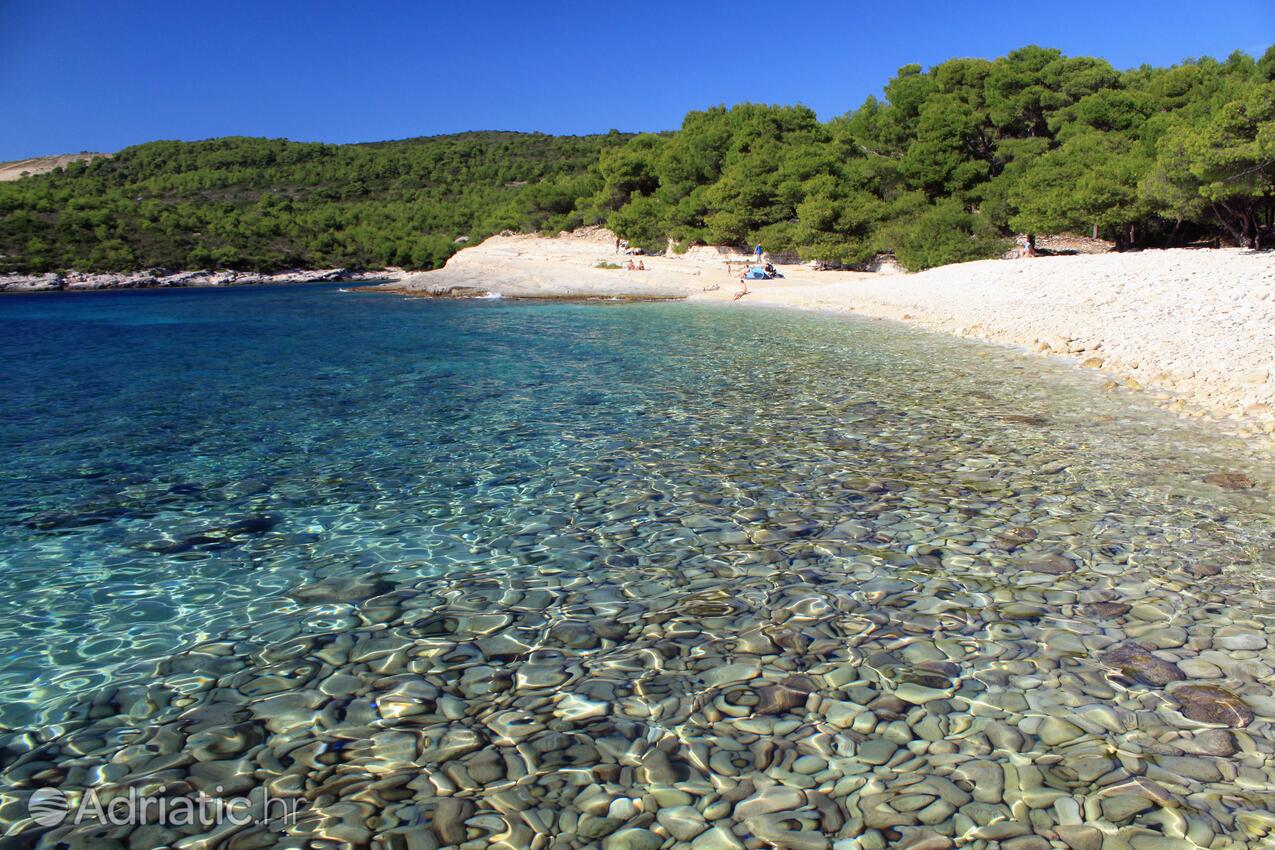 Spiagge nelle vicinanze - Appartamenti con parcheggio Rukavac, Lissa - Vis