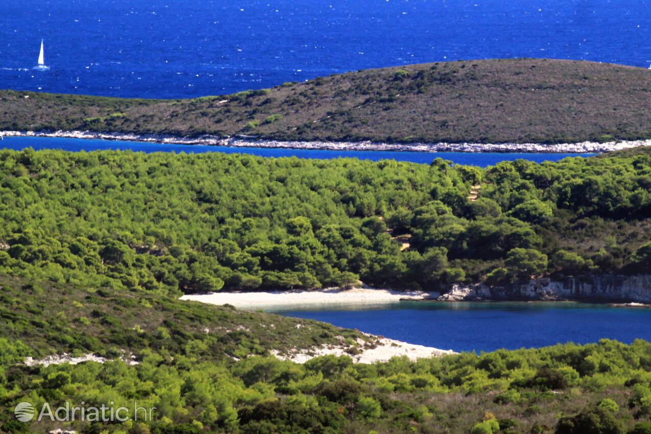 Spiagge nelle vicinanze - Appartamenti con parcheggio Rukavac, Lissa - Vis