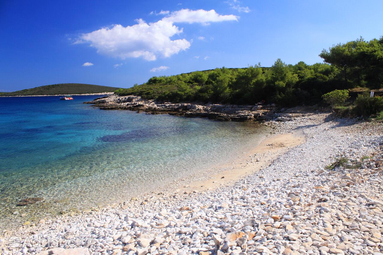 Spiagge nelle vicinanze - Appartamenti con parcheggio Rukavac, Lissa - Vis