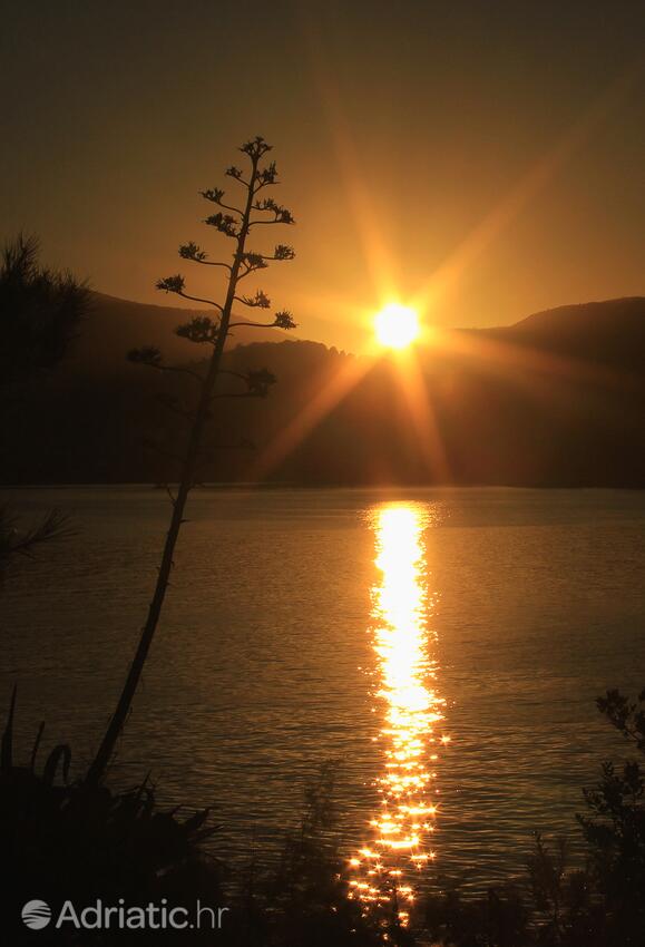 Vis na ostrove Vis (Srednja Dalmacija)