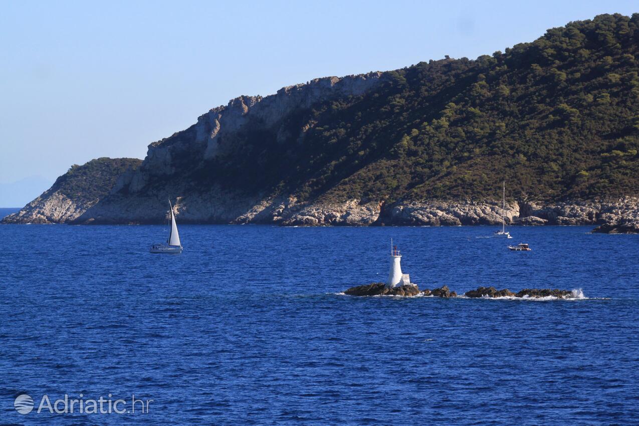 Vis na ostrove Vis (Srednja Dalmacija)