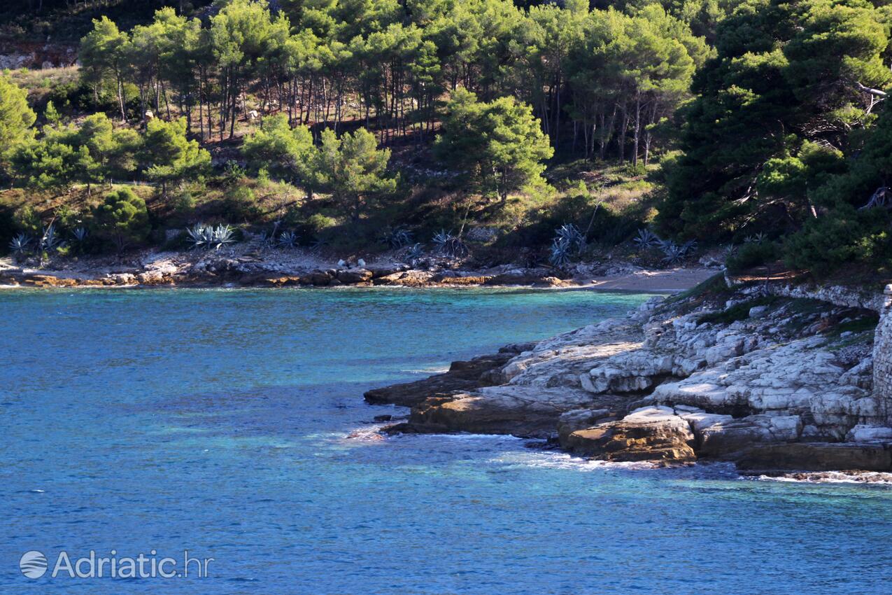 Vis na ostrove Vis (Srednja Dalmacija)