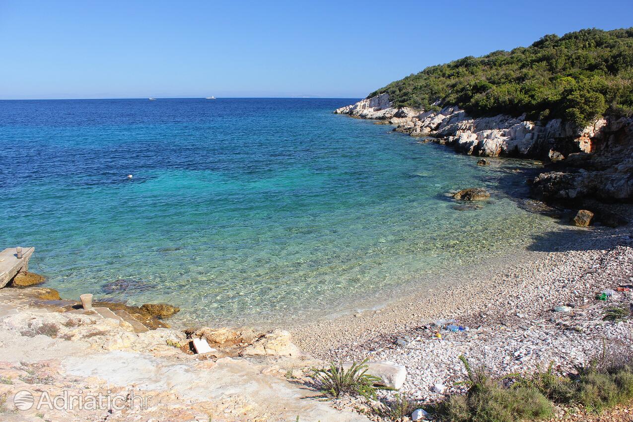 Spiagge nelle vicinanze - Appartamenti con parcheggio Lissa - Vis