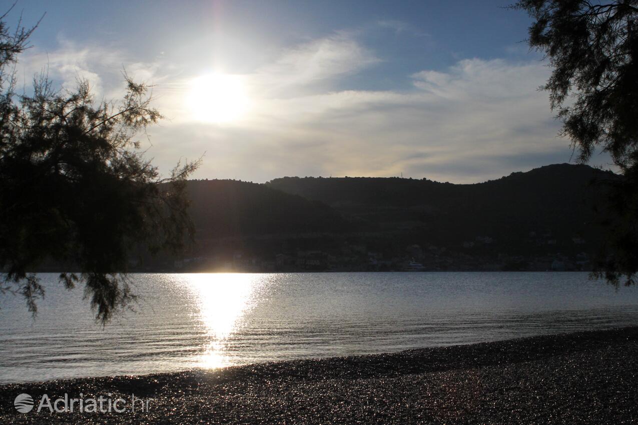 Spiagge nelle vicinanze - Appartamenti con parcheggio Lissa - Vis