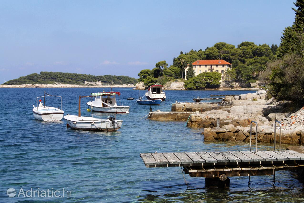 Spiagge nelle vicinanze - Appartamenti con parcheggio Lissa - Vis