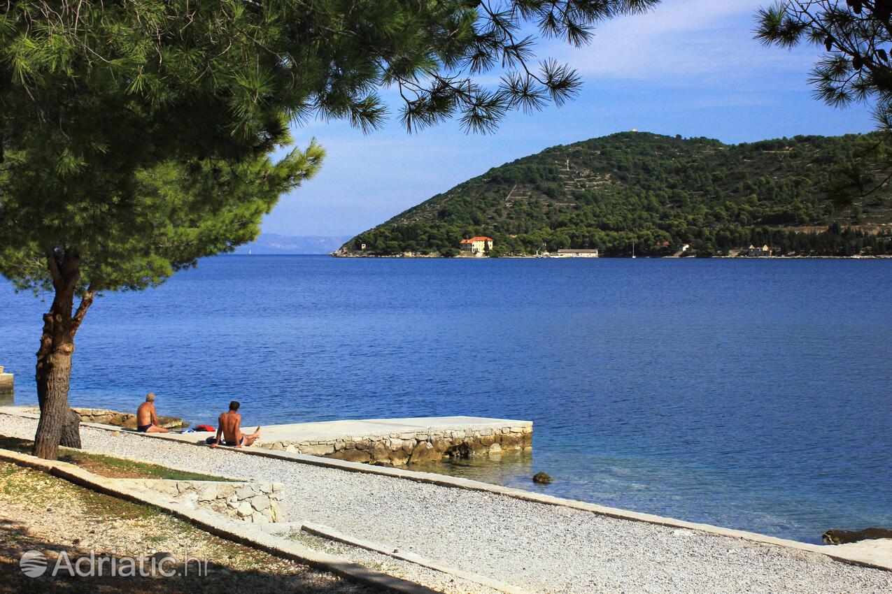 Spiagge nelle vicinanze - Appartamenti con parcheggio Lissa - Vis