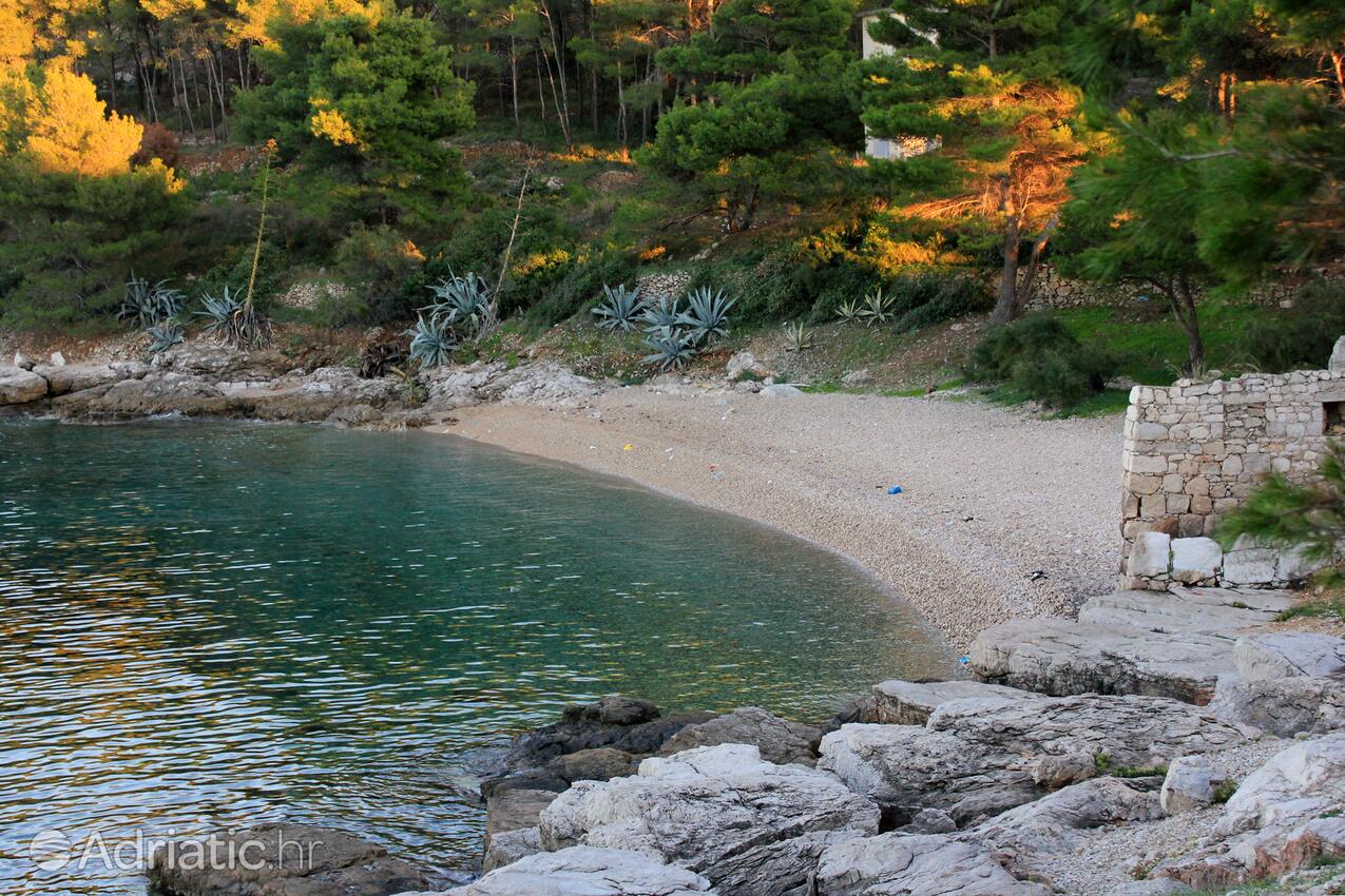 Spiagge nelle vicinanze - Appartamenti con parcheggio Lissa - Vis