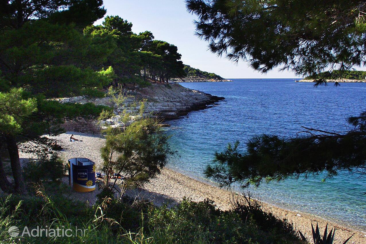 Spiagge nelle vicinanze - Appartamenti con parcheggio Lissa - Vis