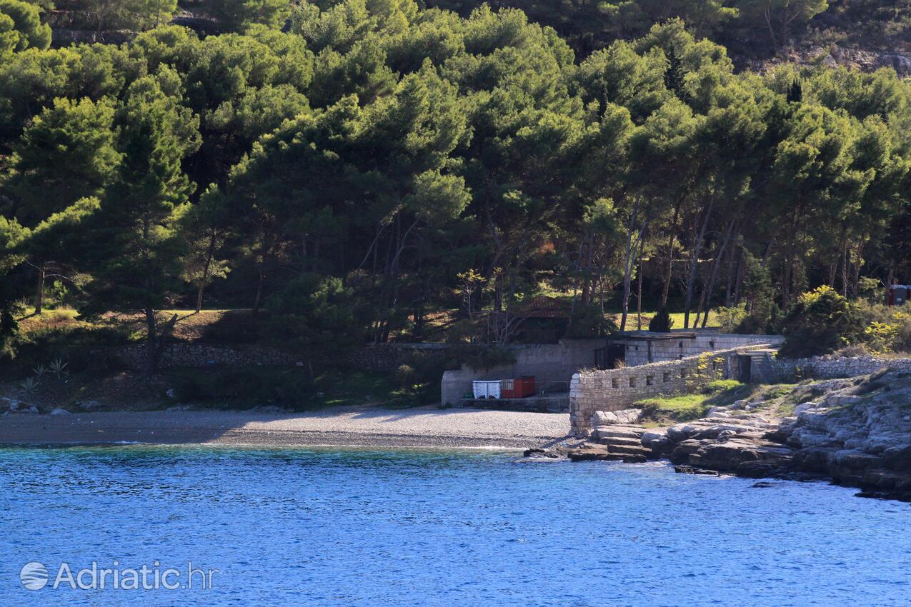 Spiagge nelle vicinanze - Appartamenti con parcheggio Lissa - Vis