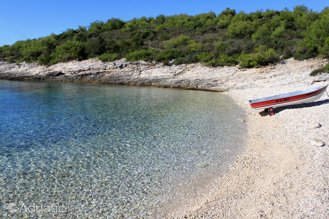 Spiagge nelle vicinanze - Appartamenti con parcheggio Lissa - Vis