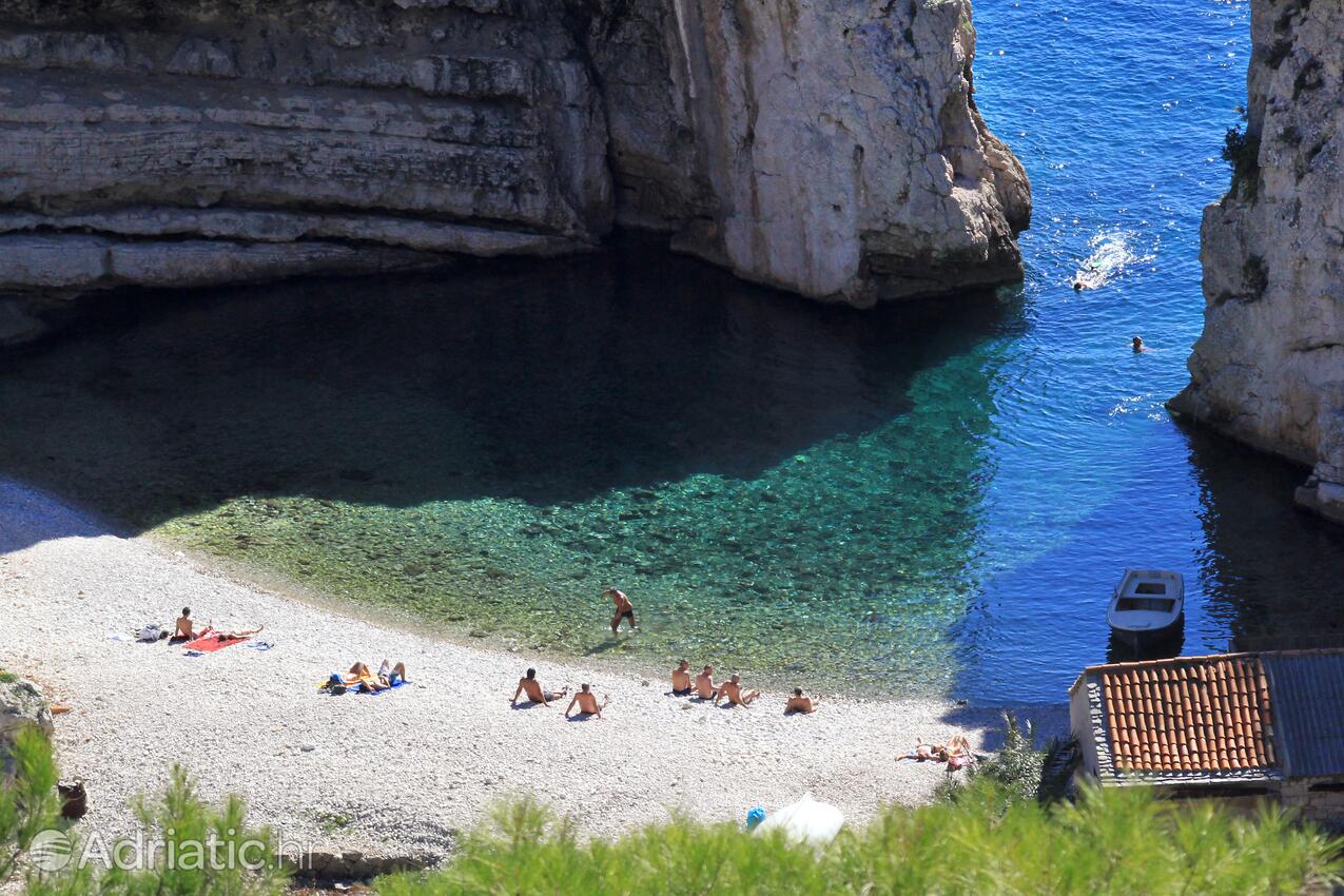 Spiagge nelle vicinanze - Appartamenti con parcheggio Lissa - Vis