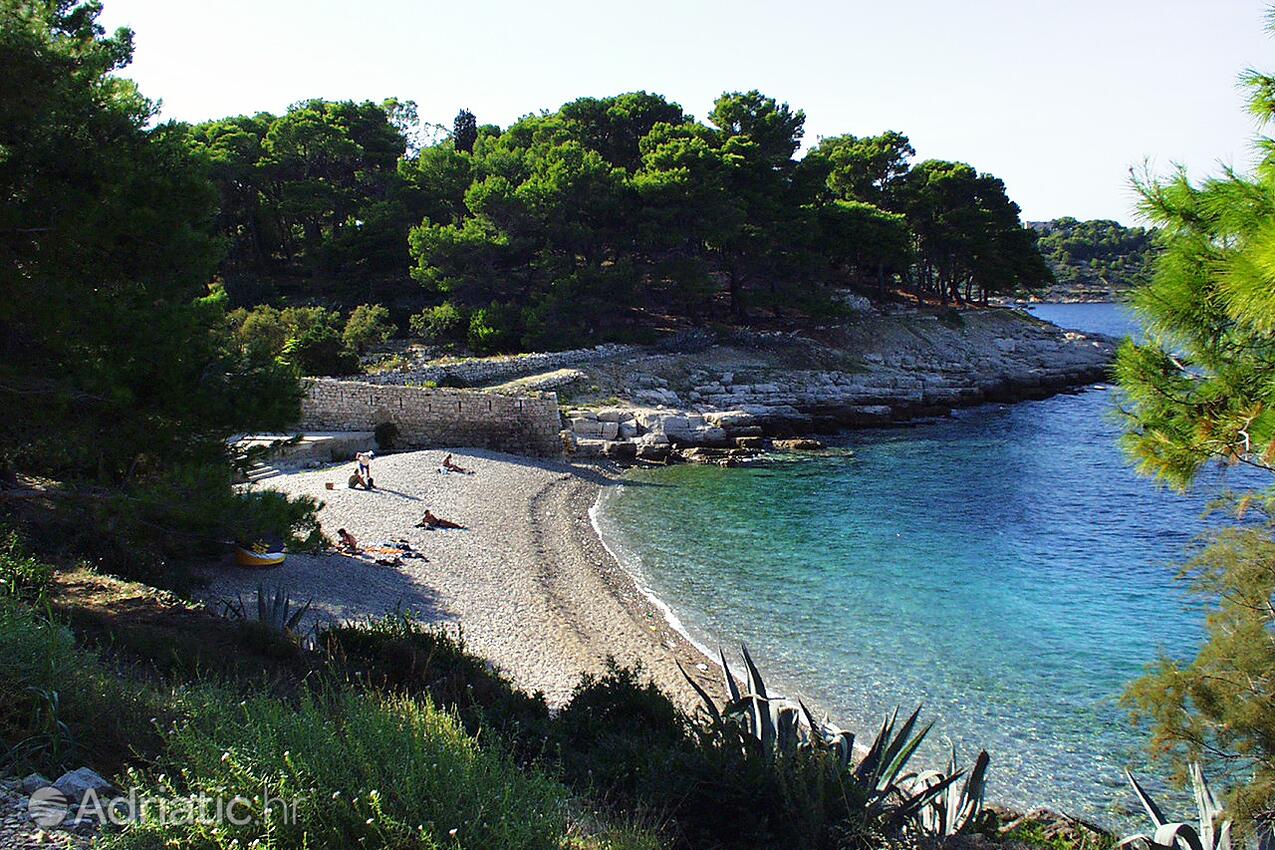 Spiagge nelle vicinanze - Appartamenti con parcheggio Lissa - Vis