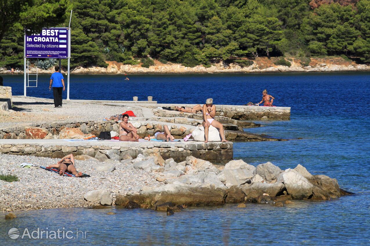 Spiagge nelle vicinanze - Appartamenti con parcheggio Lissa - Vis