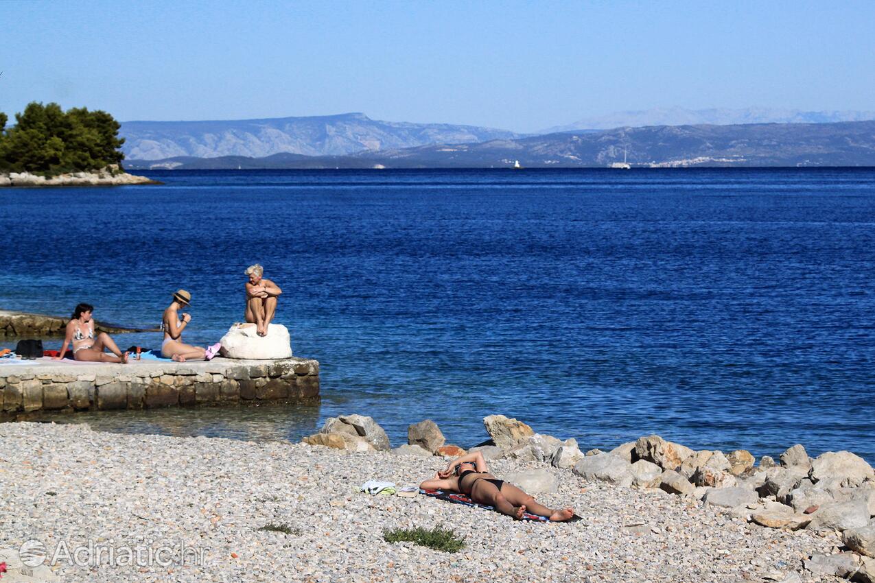 Spiagge nelle vicinanze - Appartamenti con parcheggio Lissa - Vis