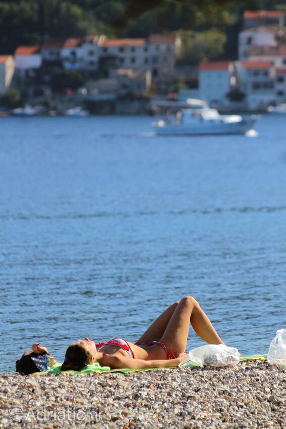 Spiagge nelle vicinanze - Appartamenti con parcheggio Lissa - Vis