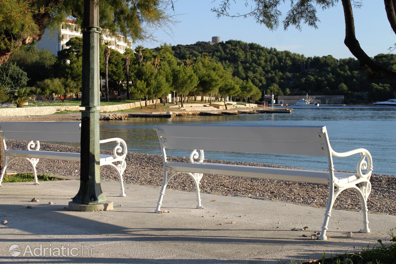 Spiagge nelle vicinanze - Appartamenti con parcheggio Lissa - Vis