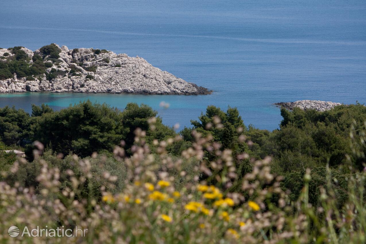 Saplunara auf der Insel  Mljet (Južna Dalmacija)