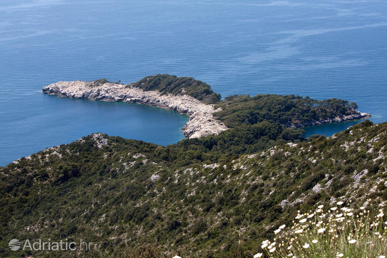 Saplunara auf der Insel  Mljet (Južna Dalmacija)