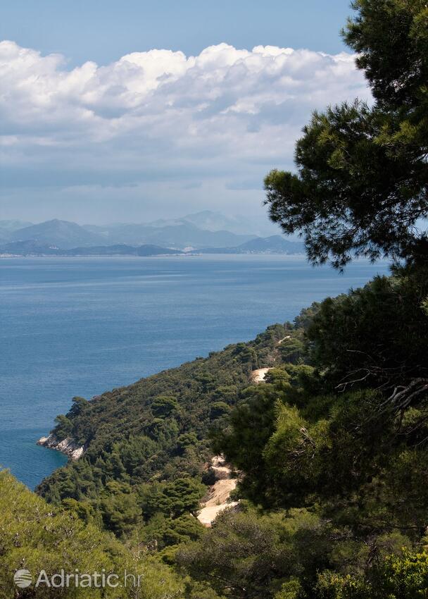 Saplunara auf der Insel  Mljet (Južna Dalmacija)