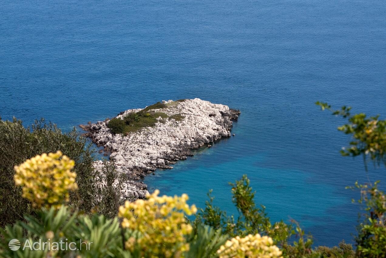 Saplunara auf der Insel  Mljet (Južna Dalmacija)