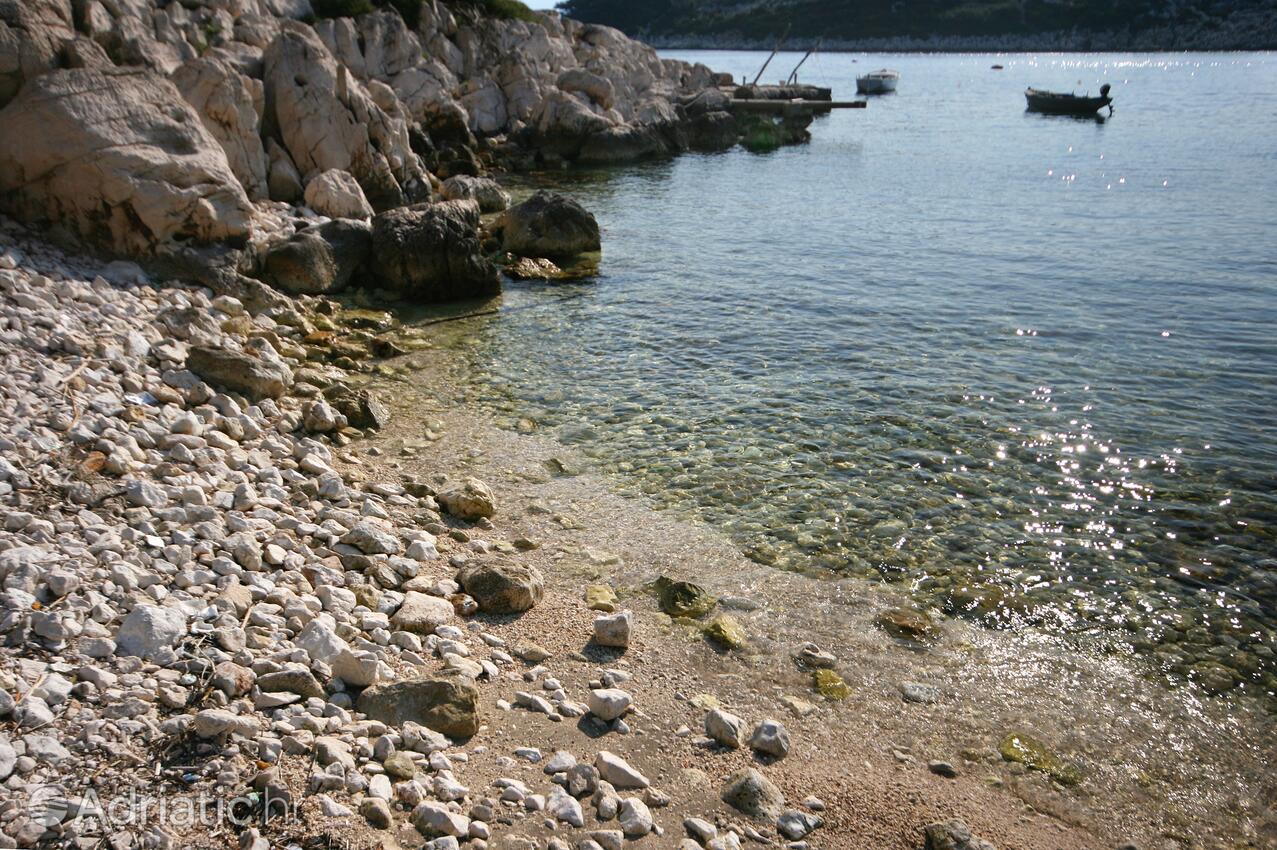 Nearby beaches - Apartments by the sea Cove Saplunara, Mljet
