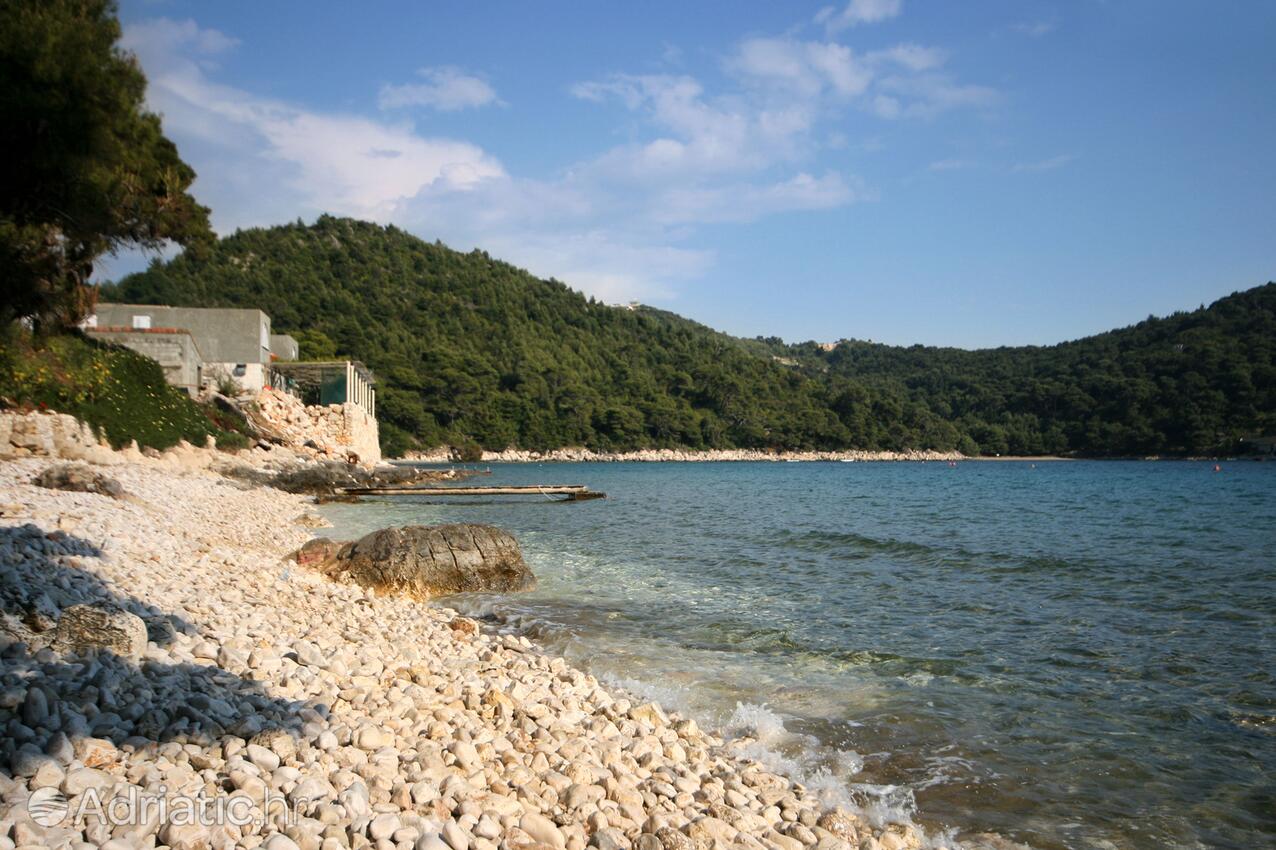 Nearby beaches - Apartments by the sea Cove Saplunara, Mljet