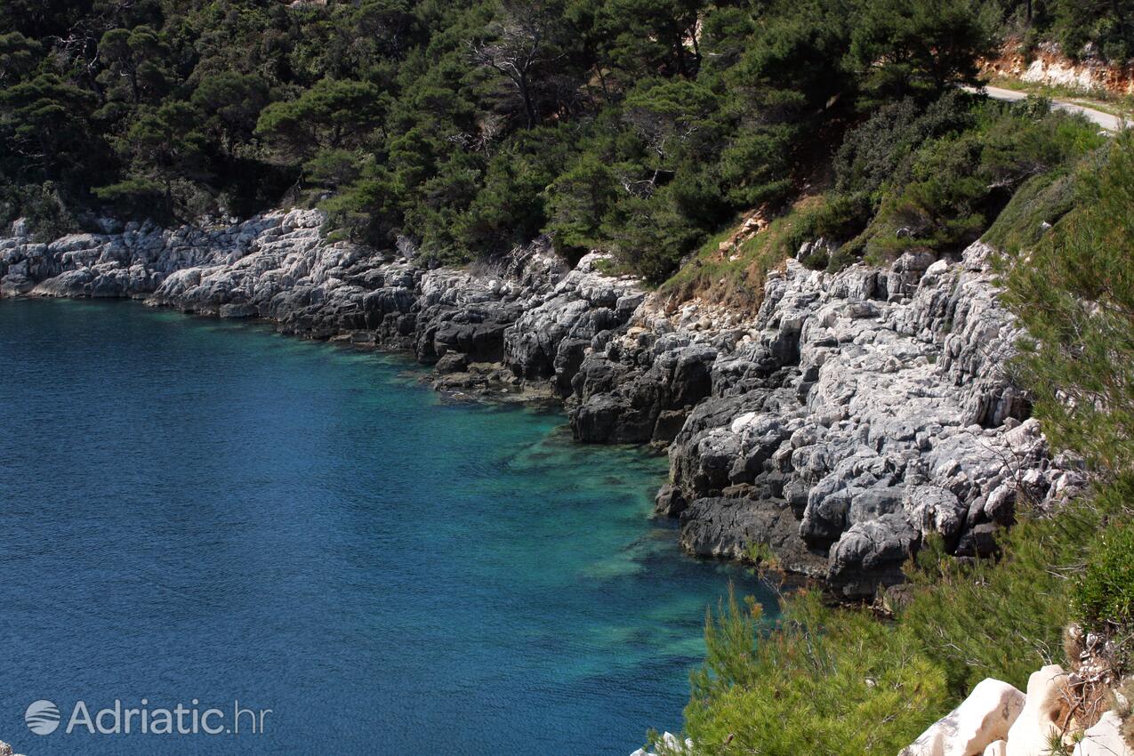 Nearby beaches - Apartments by the sea Cove Saplunara, Mljet