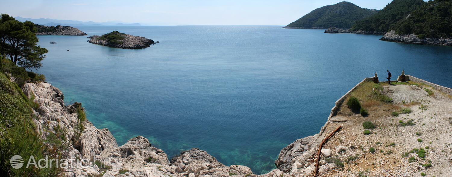Nearby beaches - Apartments by the sea Cove Saplunara, Mljet