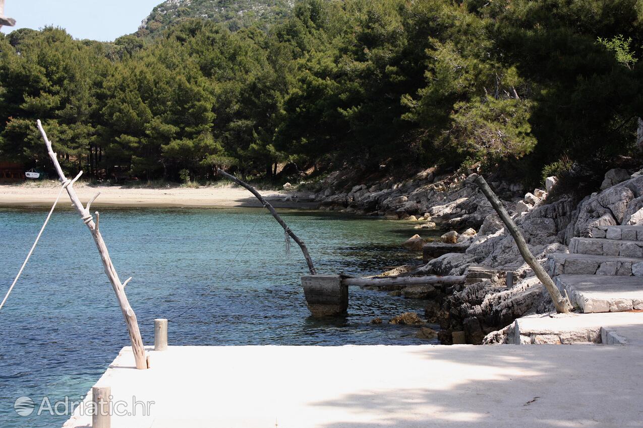 Nearby beaches - Apartments by the sea Cove Saplunara, Mljet