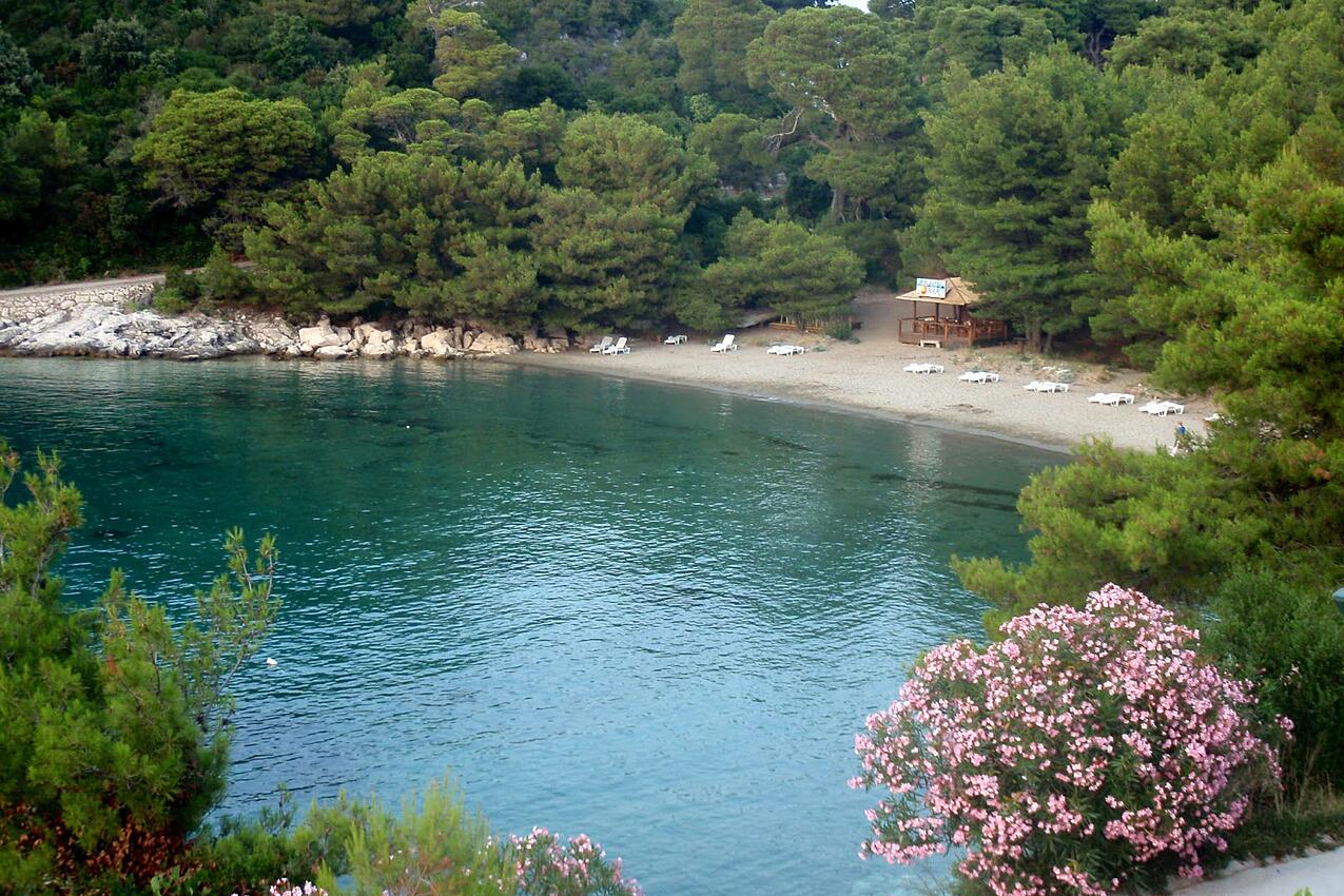 Nearby beaches - Apartments by the sea Cove Saplunara, Mljet