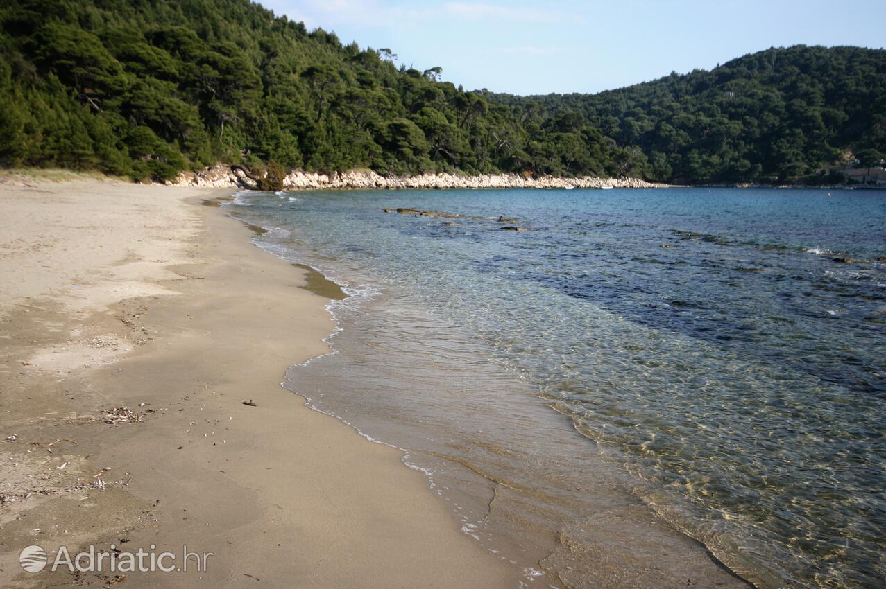 Nearby beaches - Apartments by the sea Cove Saplunara, Mljet